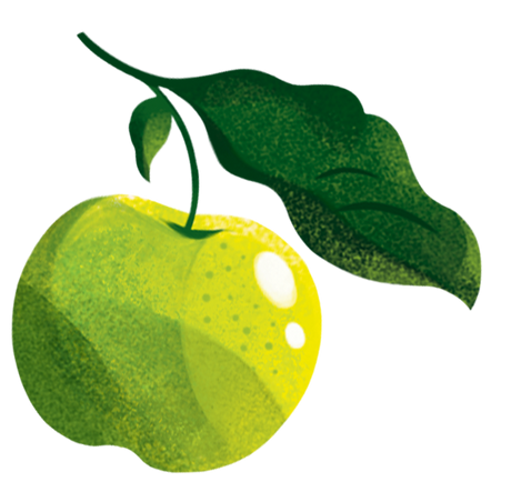 Footer Illustration Apple